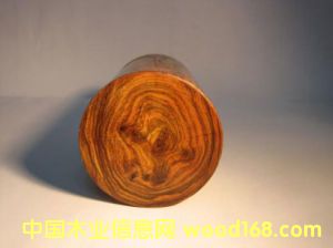 Խ���S���棨��֦ľ��