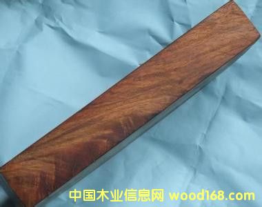 �����S���������ϵ̓r���l(f��)