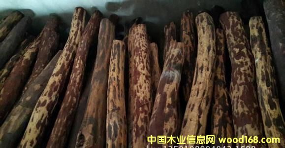 ����ƷС�~��̴������