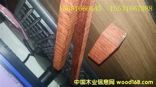 ӡ�ȝM����С�~��̴������