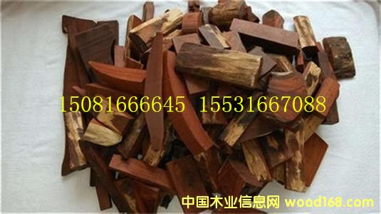 ����С�~��̴߅�_�ϵ̓r���l(f��)