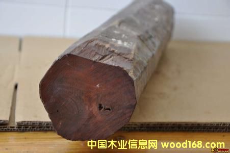 ӡ��С�~��̴ľ�σ�(y��u)��