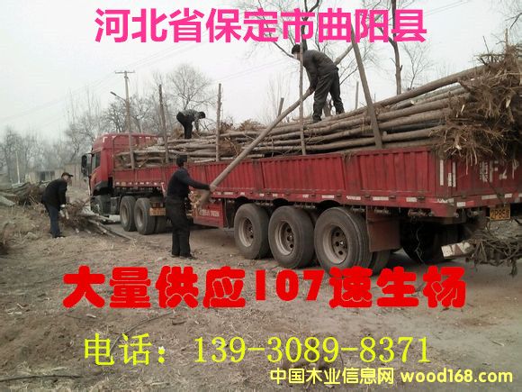 107������