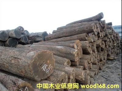 �ǄPԴľ�I(y��)�̓r����(y��ng)����̴��ԭľ�����ޣ�