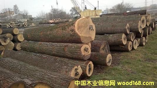 �ǄPԴľ�I(y��)�̓r(ji��)����(y��ng)ˮ����ԭľ�����_˹��