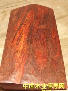 ӡ��С�~��̴�ְѼ��ϵ�Ԕ����B