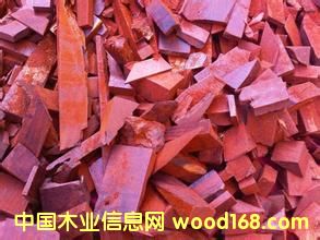 �M����С�~��̴߅���� ���l(f��)�r���Ԕ����B