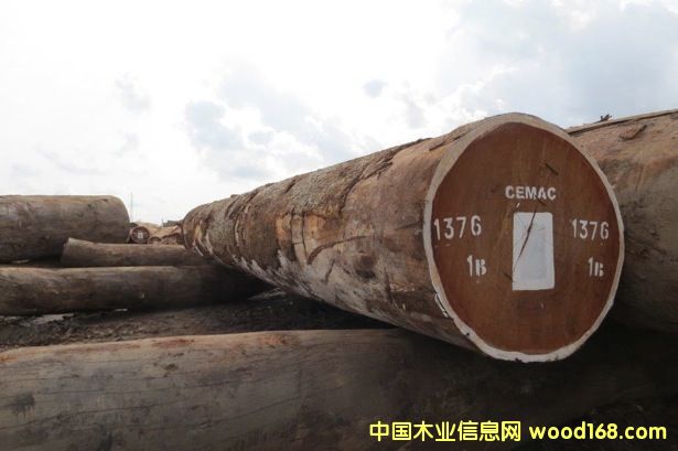 ɳ����ľ��Ԕ��(x��)��B