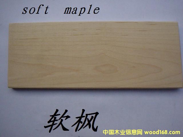 ����(y��ng)ܛ����Ԕ��(x��)��B