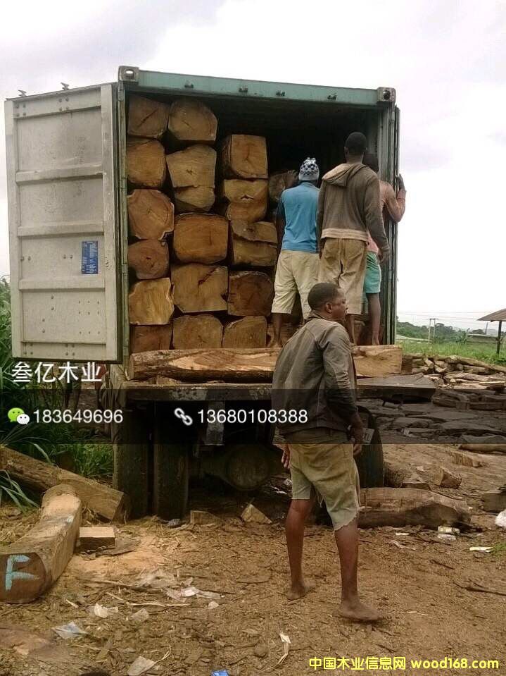 �����������S��Ԕ��(x��)��B