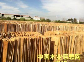 桉木單板的詳細(xì)介紹
