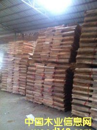 桉木單片的詳細(xì)介紹