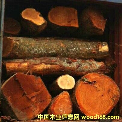 �|�ρ��sľ��ĵ�Ԕ��(x��)��B