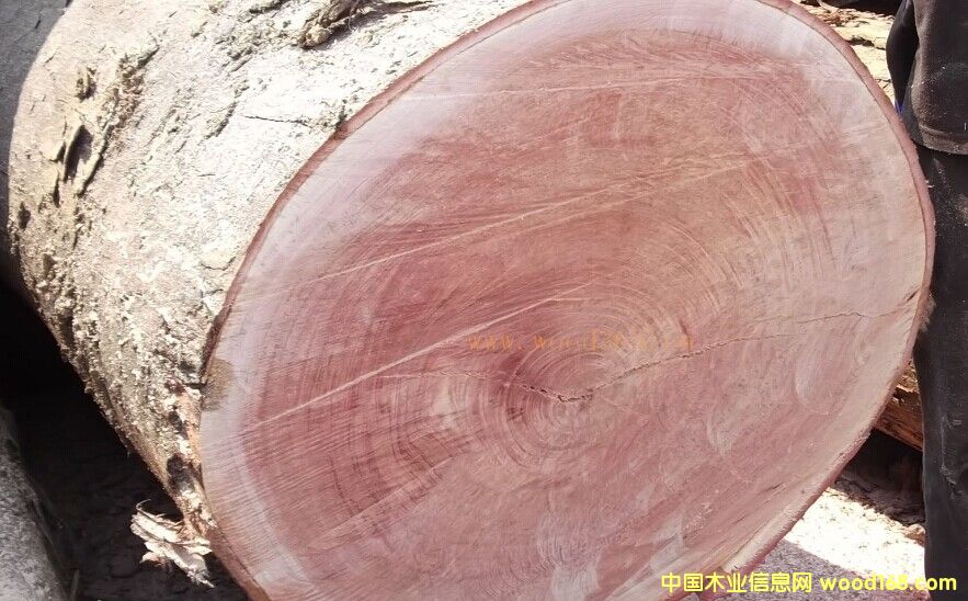 桃花芯原木的詳細(xì)介紹