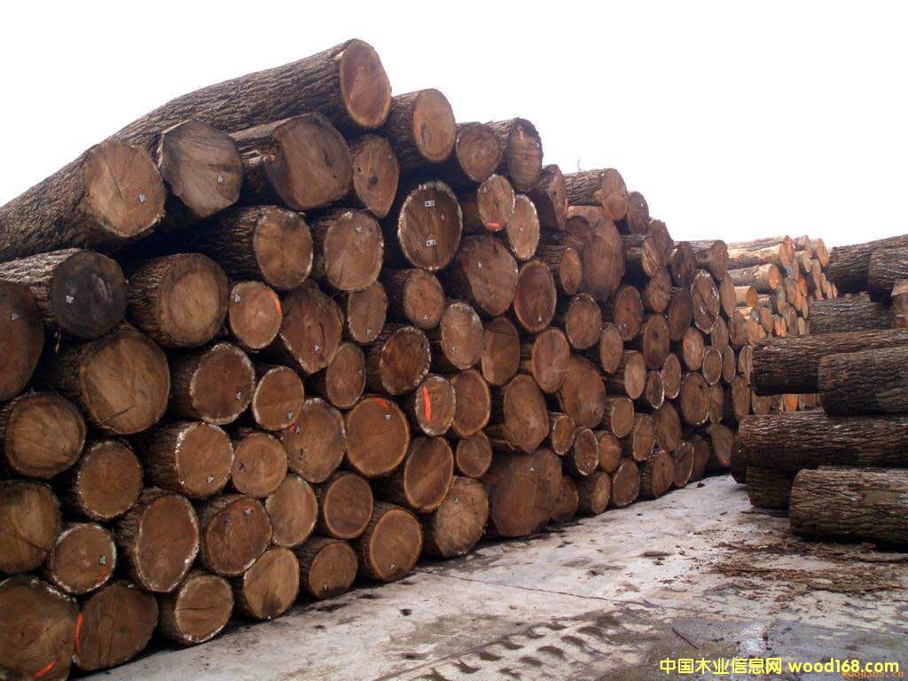 �����ں��ҵ�Ԕ����B