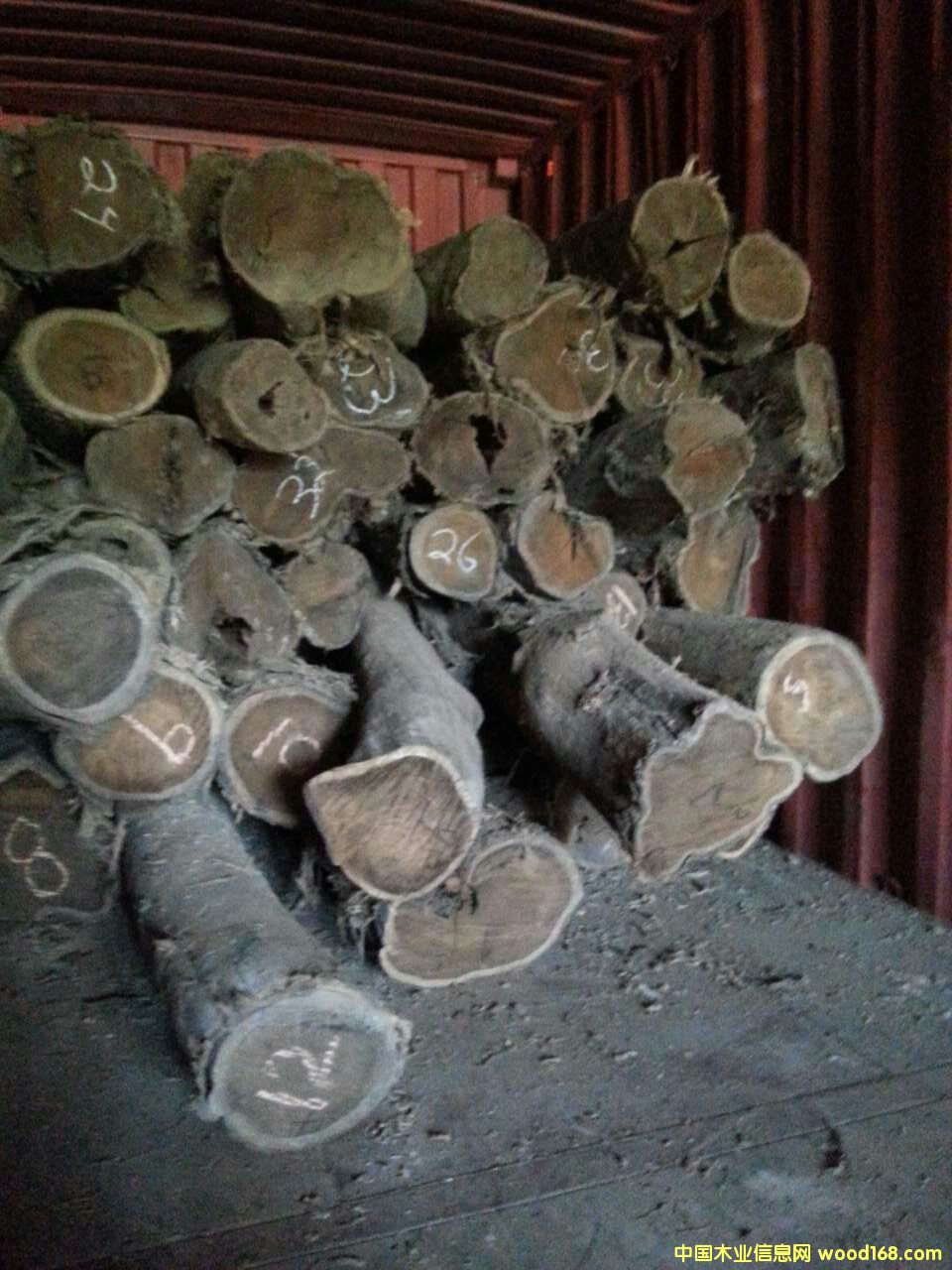 ī�����S��̴��Ԕ����B