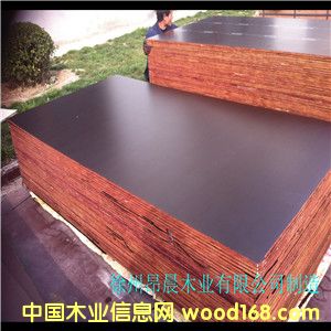 ����帲Ĥ���Ԕ����B