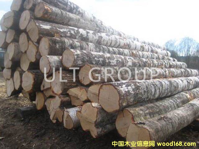 ��ľԭľ��Ԕ����B