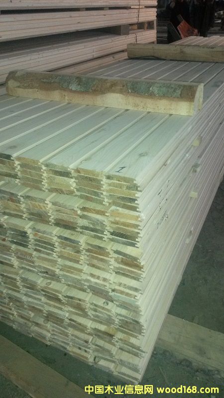 白松的詳細(xì)介紹