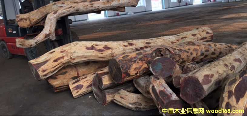 染料紫檀的詳細(xì)介紹