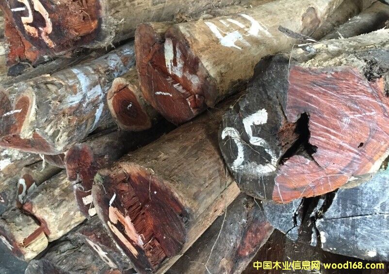 ���~�S�����Ԕ��(x��)��B