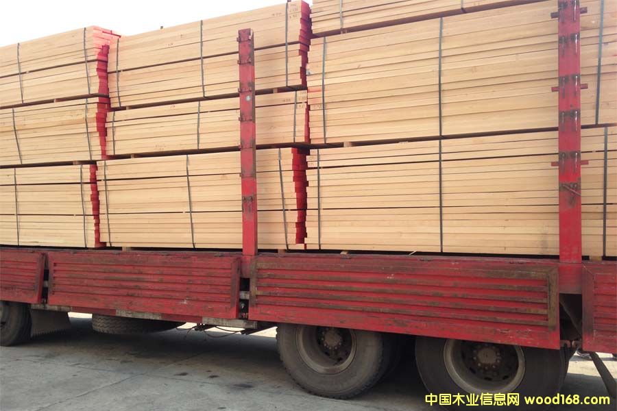 櫸木的詳細(xì)介紹