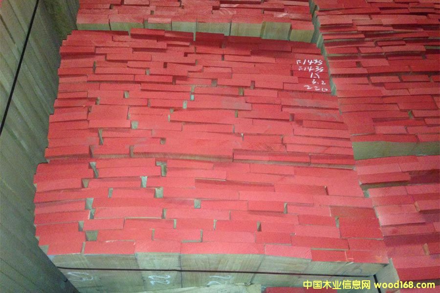 櫸木的詳細(xì)介紹