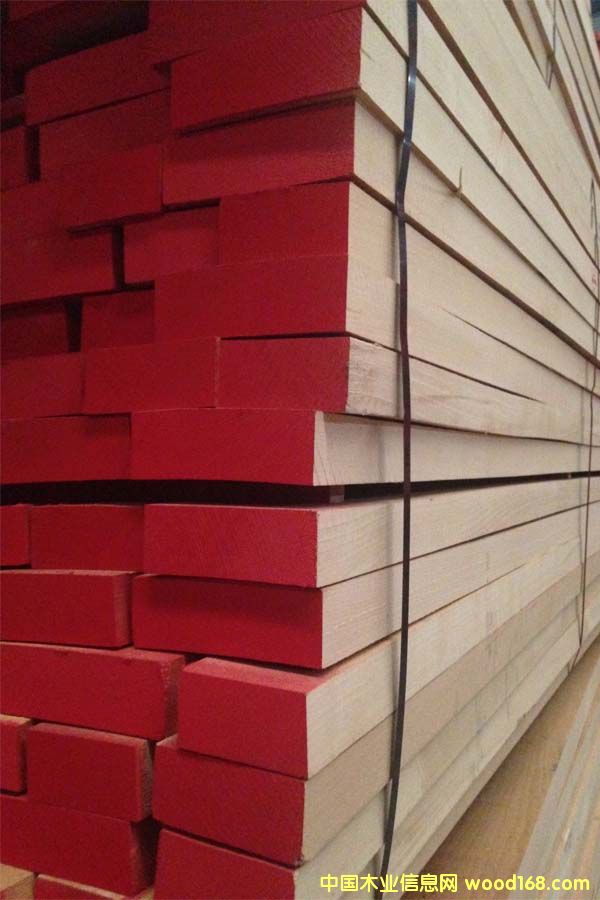 櫸木的詳細(xì)介紹