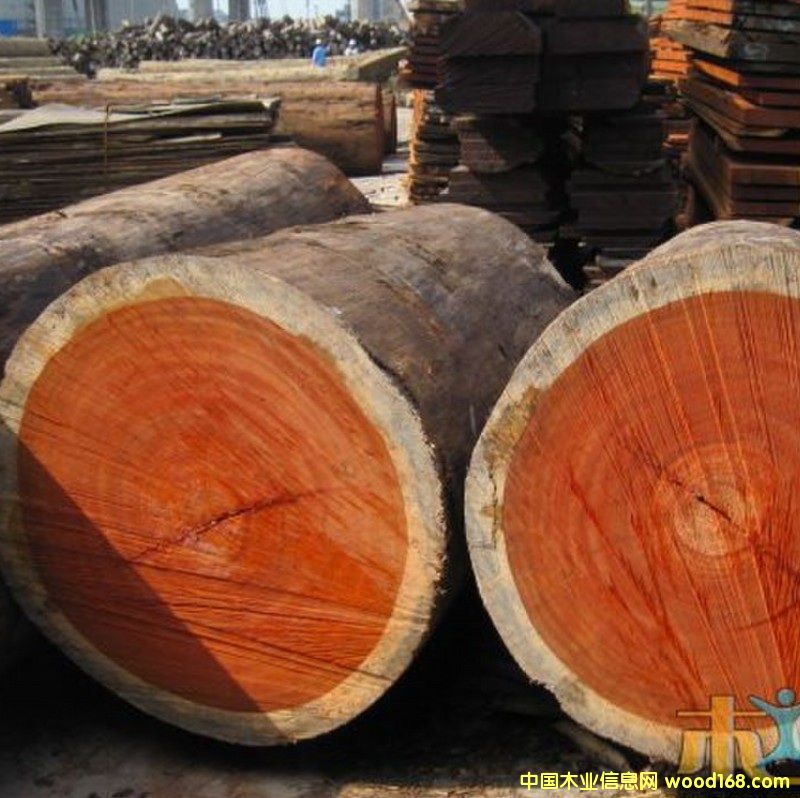 �t��������Ԕ����B