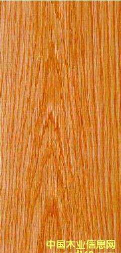 紅橡木的詳細(xì)介紹