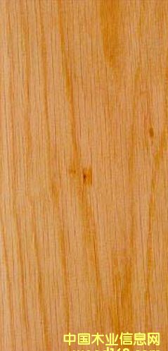 白橡木的詳細(xì)介紹