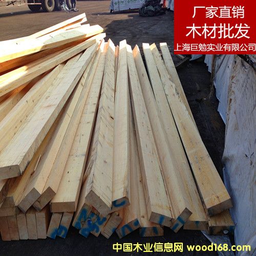 樟子松的詳細(xì)介紹