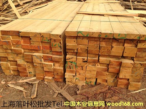 ���~�Ƀr(ji��)���Ԕ��(x��)��B