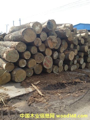 �����m�����Ԕ��(x��)��B