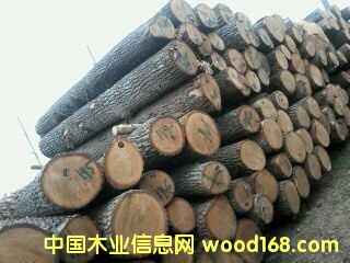 �����m��ľ