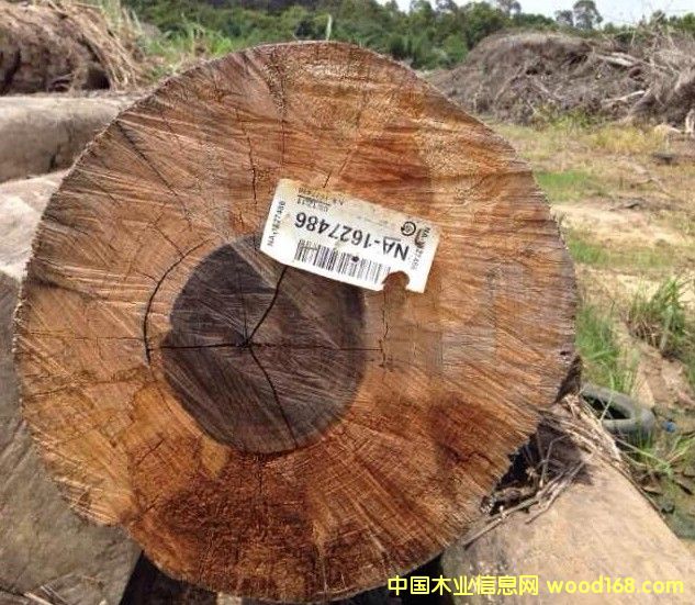 wamara ������֦