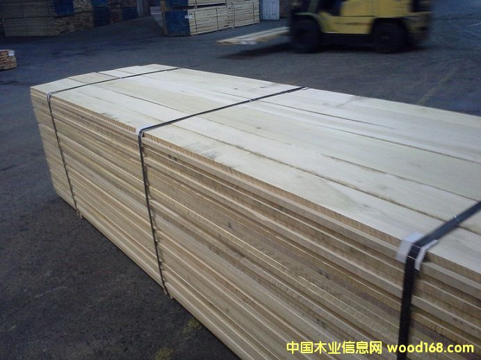 Poplar��Ԕ����B