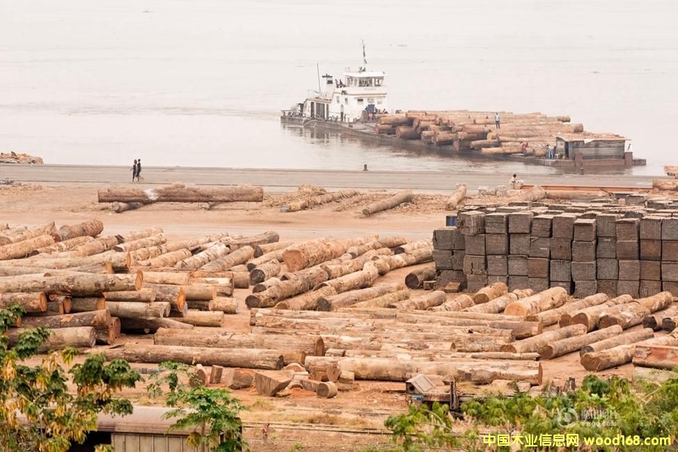 ����������e�J�p 40%ľ���N���Ї�