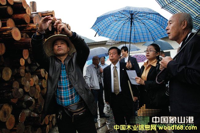 �ձ��Ѻ��L��(w��n)�F(tu��n)������ɽľ���N���Ј�(ch��ng)