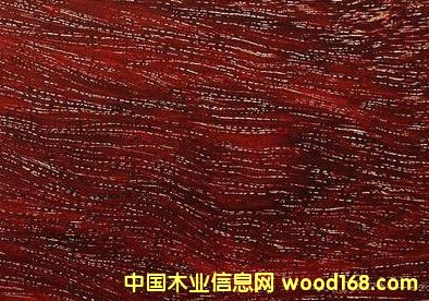 金星并不是小葉紫檀獨有的標(biāo)準(zhǔn)