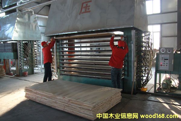 �����������P(y��ng)��ľ�I(y��)�����������B(t��i)��