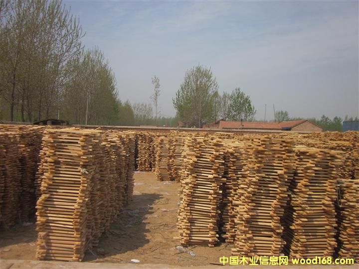 ɽ�|�ܿh�fկ�x�_(d��)ľ�I(y��)