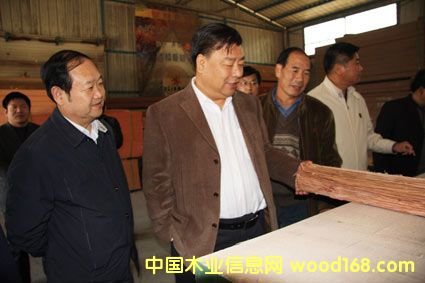 ����ɭ�����F(tu��n)�쿴�S�h�Ƽ�ľ�N���Ј�(ch��ng)