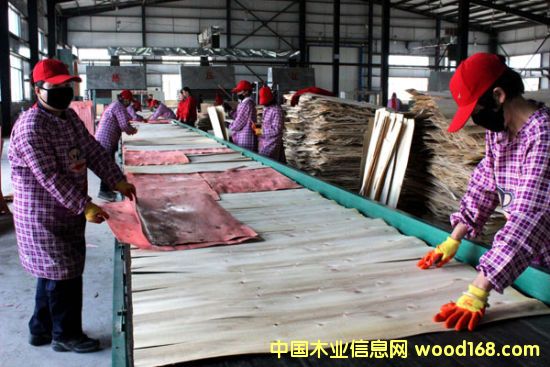 �����������P(y��ng)��ľ�I(y��)����Ͷ�a(ch��n)