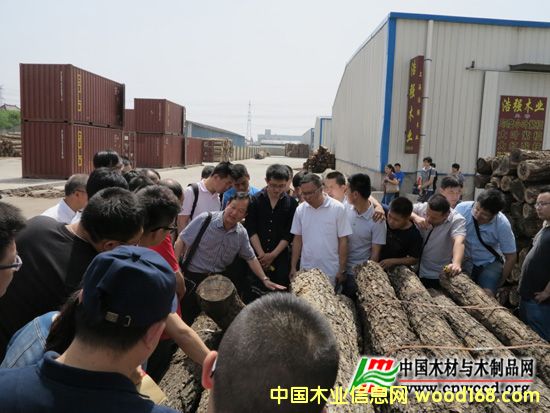 ȫ��ľ�ęz򞎟(����)�����I(y��)�Y����Ӗ(x��n)�����Ϻ��e�k