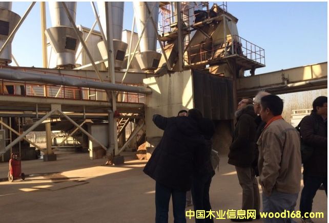 �����Z��Krono��ľ�I(y��)���F�W�R���ό��Sľ�I(y��)���^����