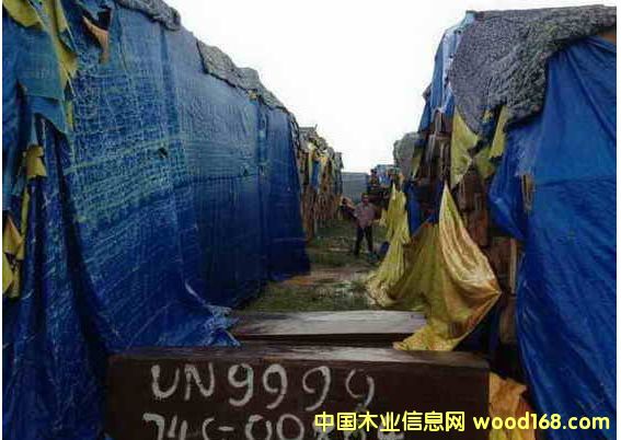 ������ȥ���ˣ�Խ��ľ������ȥ�wľ�^����