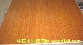 E1��̩���������Ԕ��(x��)��B