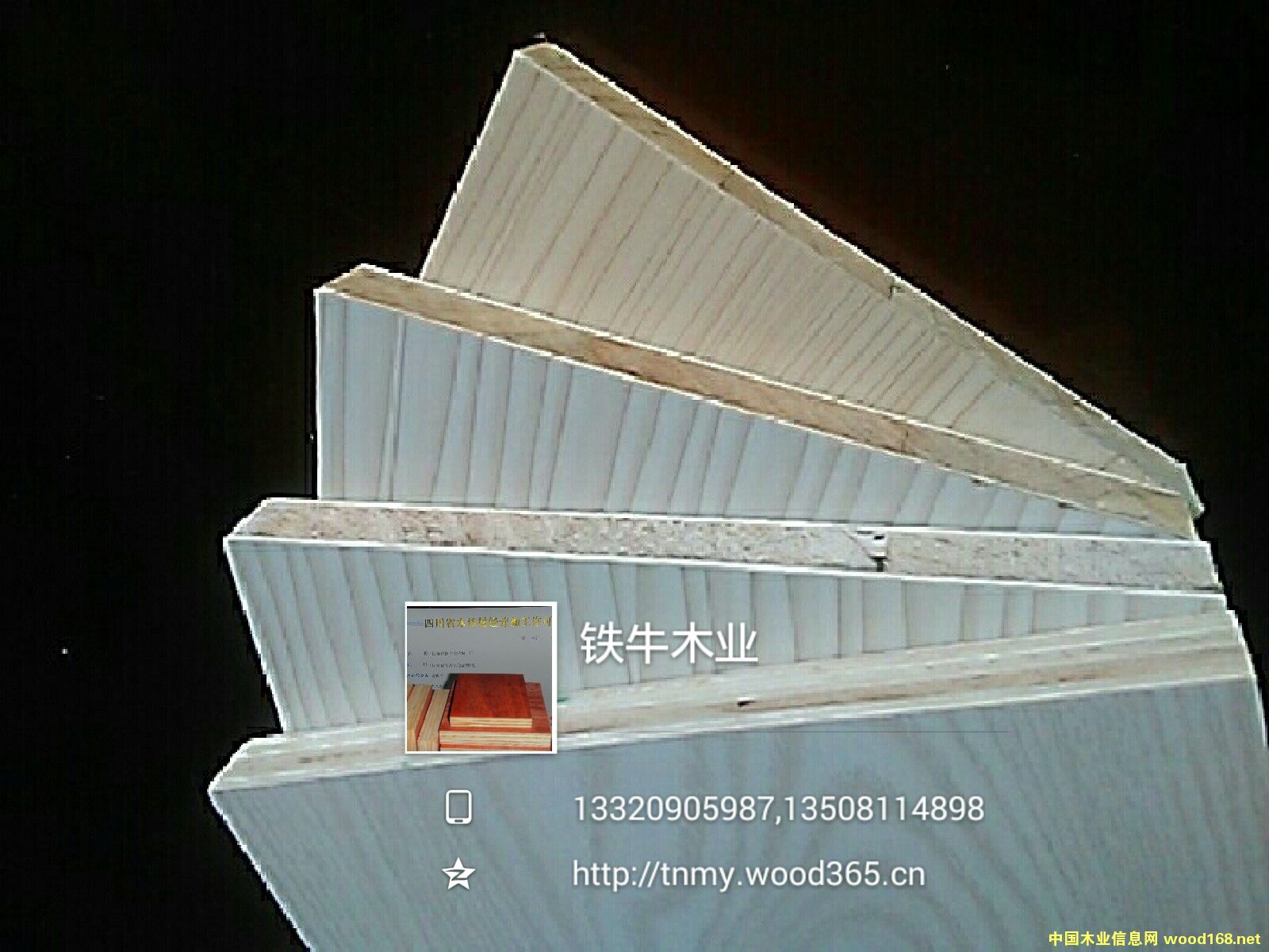 ������Ԕ��(x��)��B