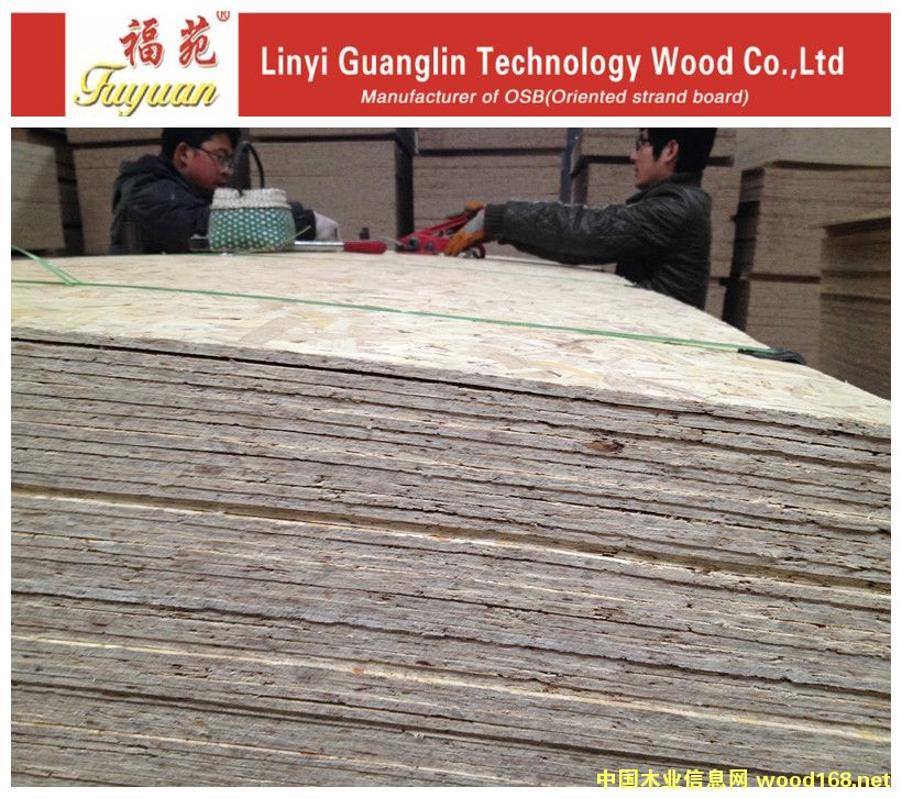 6mmOSB�W�ɰ���b��